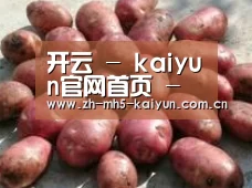 产品展示标题5