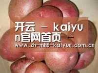 产品展示标题1