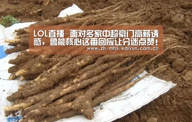 LOL直播-面对多家中超豪门高薪诱惑,鲁能核心这番回应让分迷点赞!(图1) 开云电竞