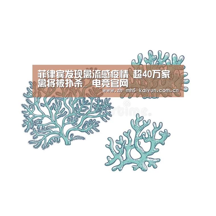  电竞官网
