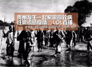 开云电竞