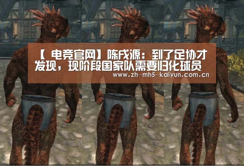 【 电竞官网】陈戌源:到了足协才发现,现阶段国家队需要归化球员(图1) 开云电竞