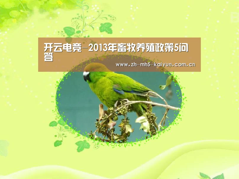 开云电竞-2013年畜牧养殖政策5问答(图1) 电竞官网