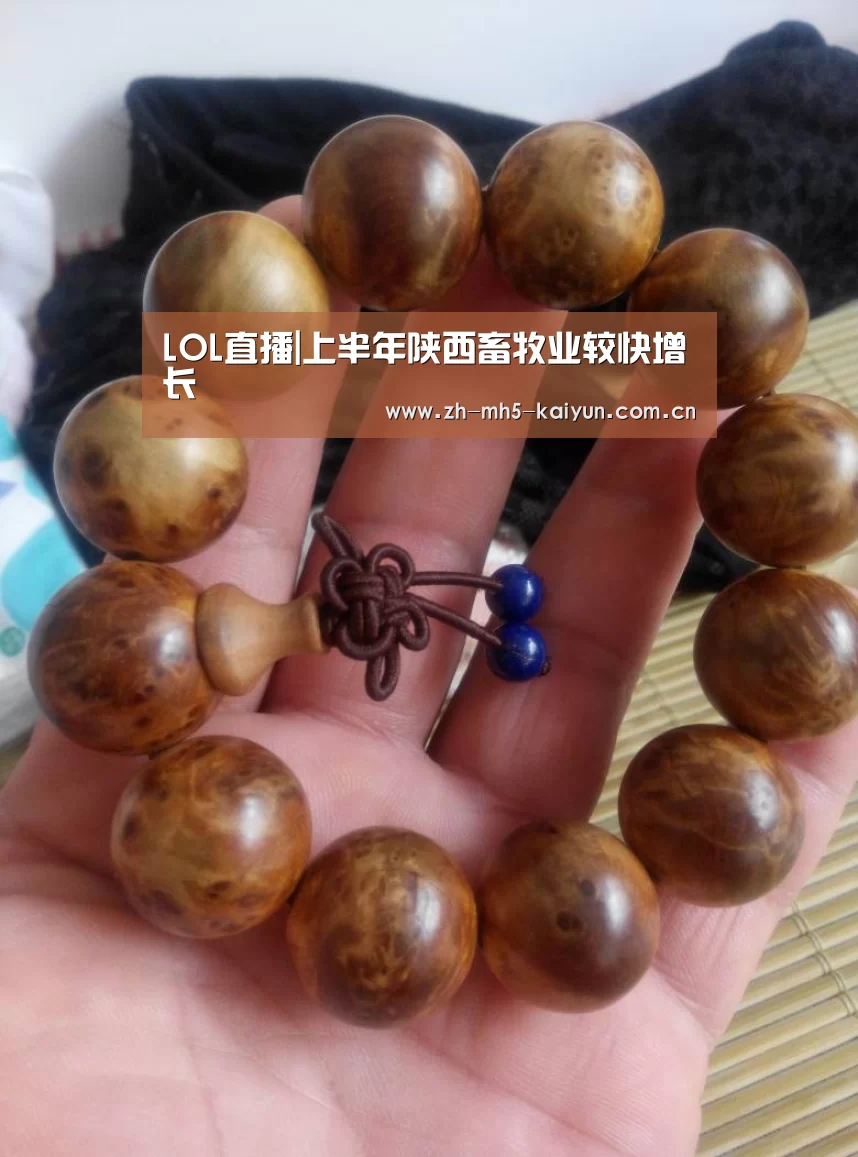 LOL直播|上半年陕西畜牧业较快增长(图1) 开云电竞