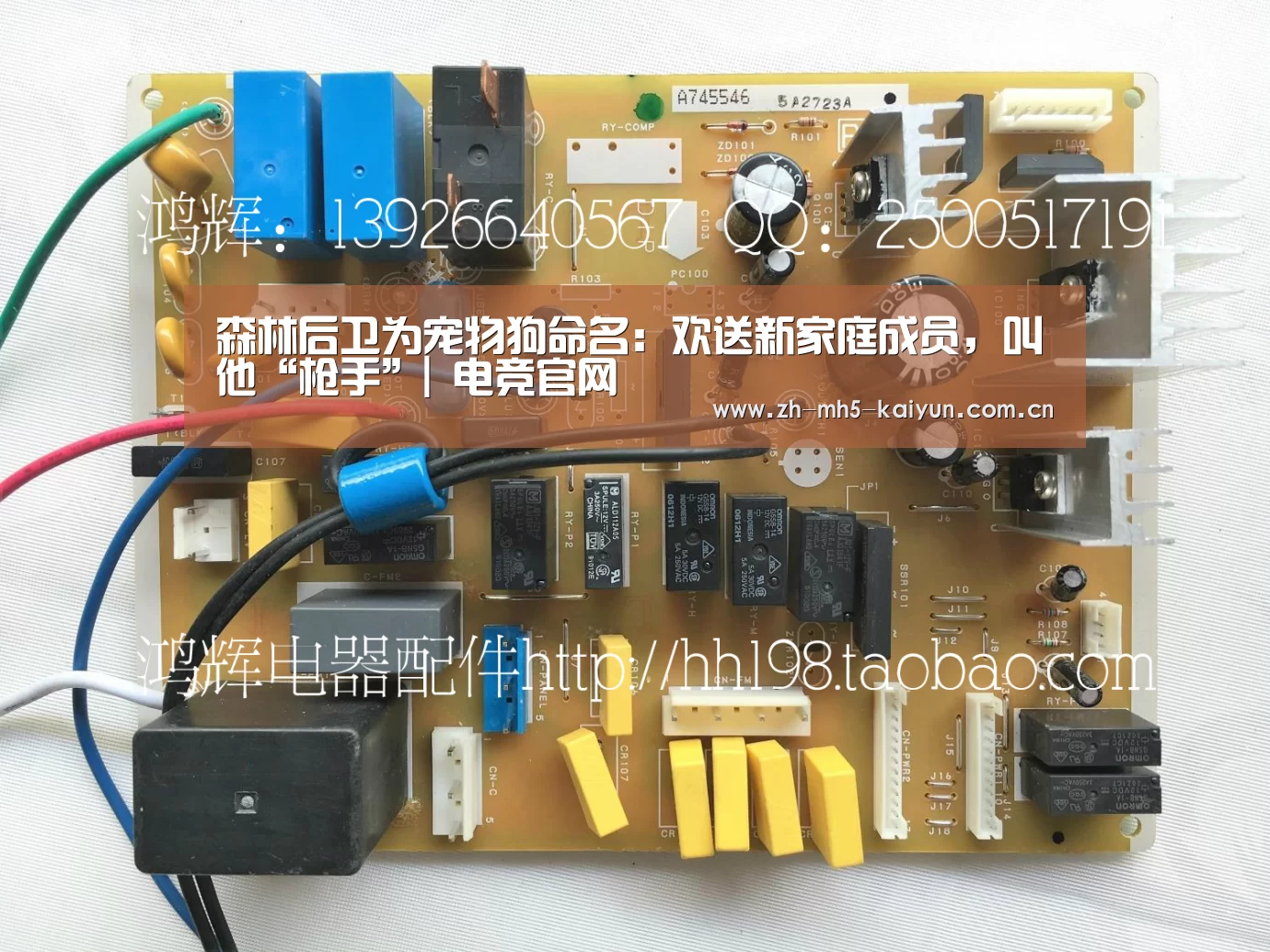森林后卫为宠物狗命名:欢送新家庭成员,叫他“枪手”| 电竞官网(图1) LOL直播