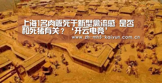 上海1名肉贩死于新型禽流感 是否和死猪有关?‘开云电竞’(图1) 电竞官网