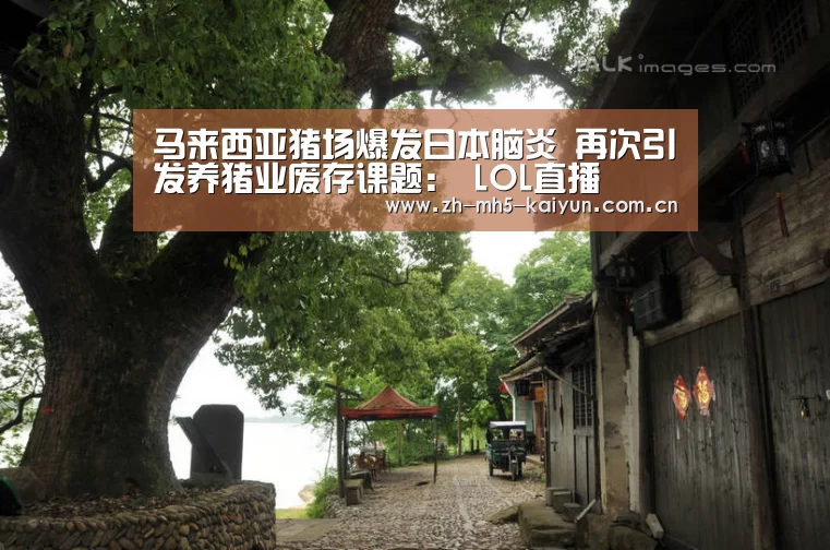 马来西亚猪场爆发日本脑炎 再次引发养猪业废存课题: LOL直播(图3) 电竞官网