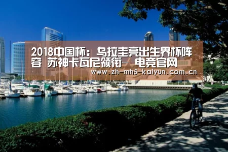  电竞官网