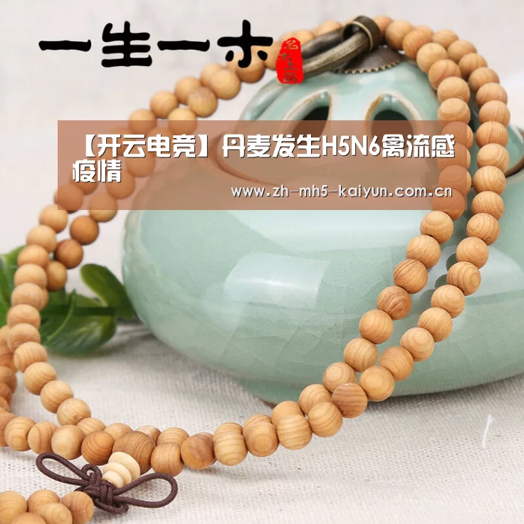  电竞官网