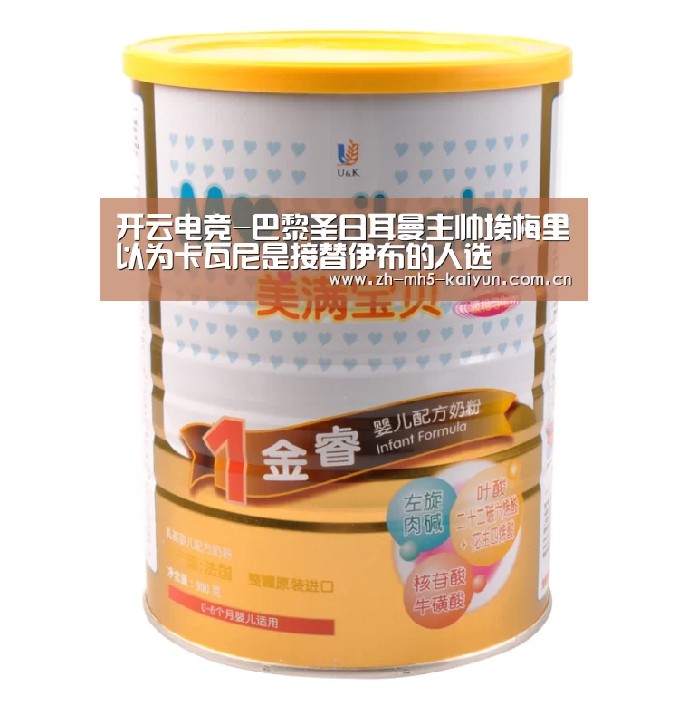 开云电竞-巴黎圣日耳曼主帅埃梅里以为卡瓦尼是接替伊布的人选(图2) LOL直播