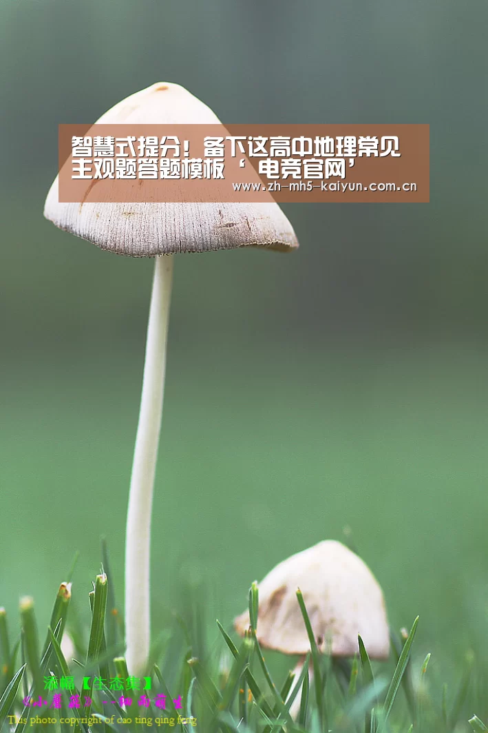  LOL直播