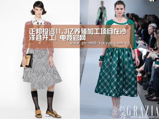 正邦投资11.3亿养殖加工项目在沙洋县开工| 电竞官网(图2) LOL直播
