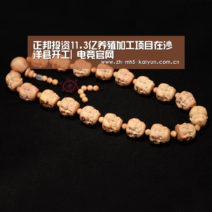 正邦投资11.3亿养殖加工项目在沙洋县开工| 电竞官网(图1) 开云电竞