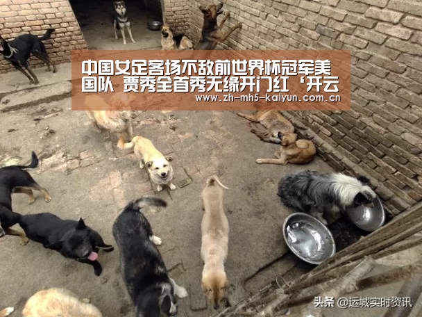 中国女足客场不敌前世界杯冠军美国队 贾秀全首秀无缘开门红‘开云电竞’(图1) 开云电竞