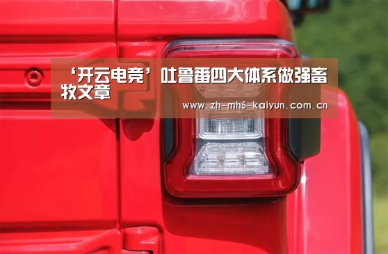 ‘开云电竞’吐鲁番四大体系做强畜牧文章(图1) 开云电竞