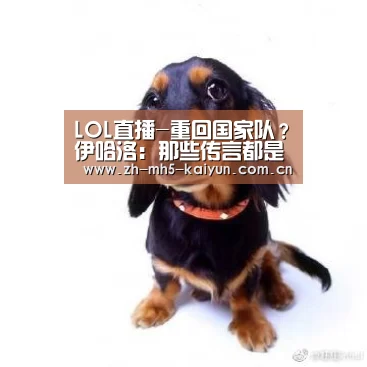 LOL直播-重回国家队?伊哈洛:那些传言都是胡说八道(图3) LOL直播