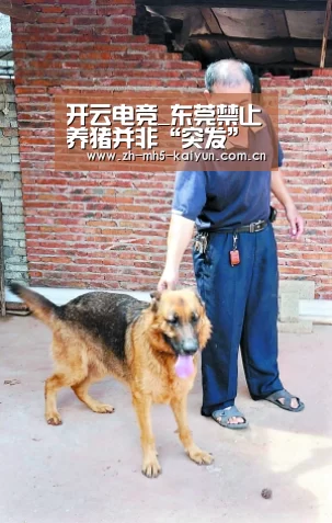 开云电竞_东莞禁止养猪并非“突发”新闻(图4) LOL直播
