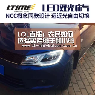 LOL直播:农民如何选择买老母羊和小母羊而不赔钱(图2) 开云电竞